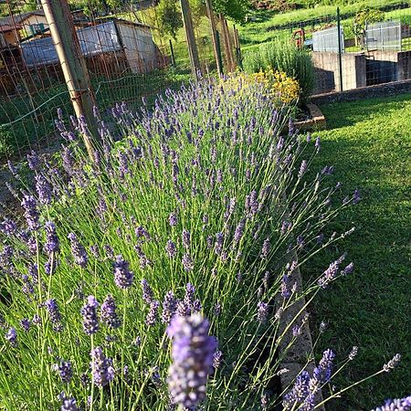 Casa Vacanze La Cicala Pontremoli Exterior foto