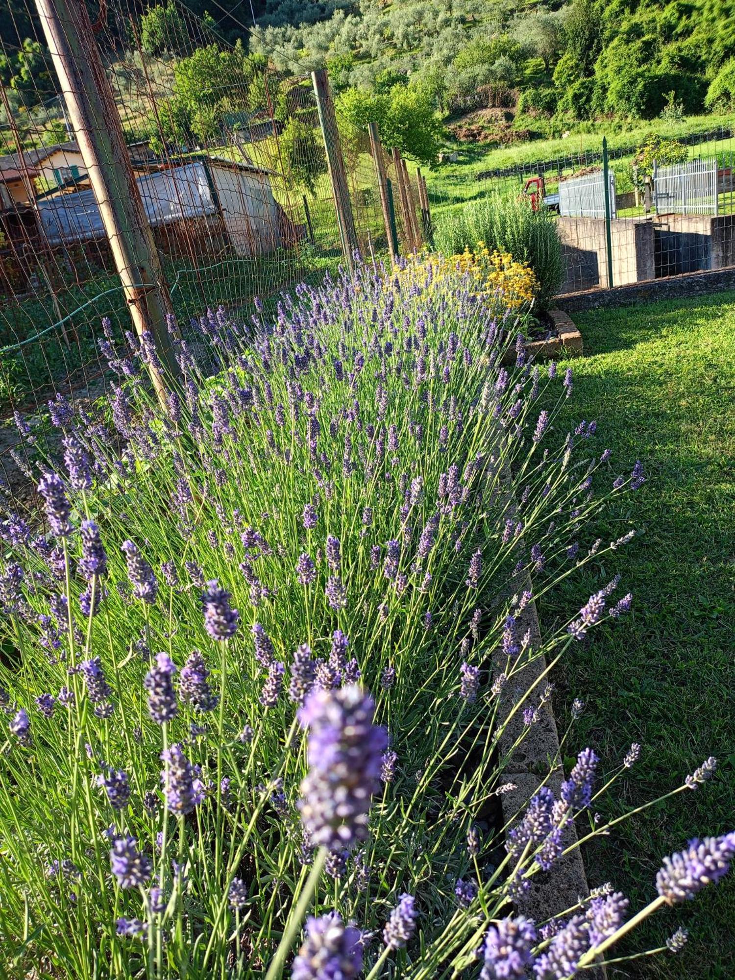 Casa Vacanze La Cicala Pontremoli Exterior foto